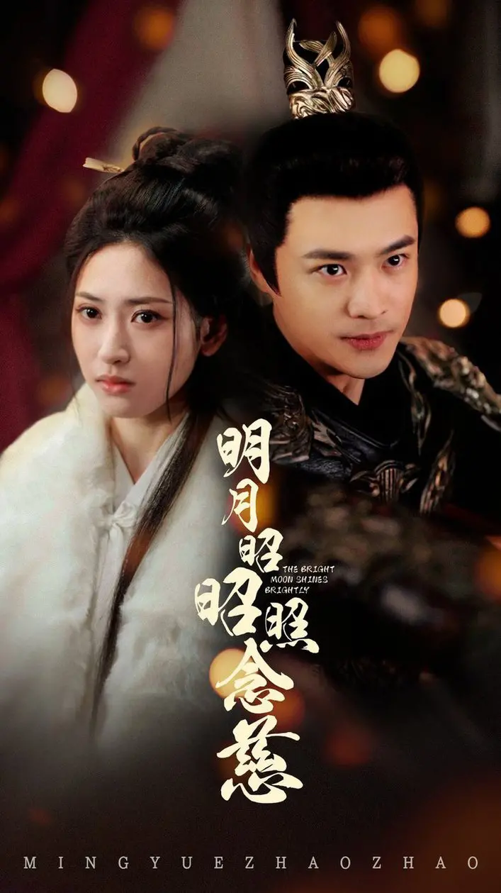 明月昭昭照念慈 海报
