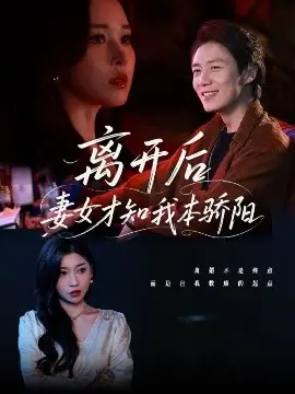 离开后妻女才知我本骄阳 海报