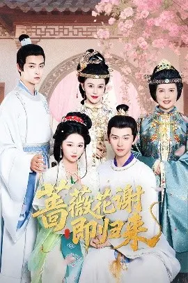 《蔷薇花谢即归来》：凋零与重生的轮回之歌，情感治愈之旅