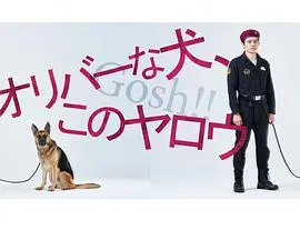 《奥莉佛是狗》：一部颠覆你三观的爆笑奇幻喜剧！狗狗变人？天哪！